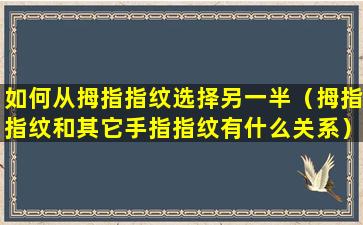 如何从拇指指纹选择另一半（拇指指纹和其它手指指纹有什么关系）