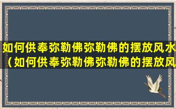 如何供奉弥勒佛弥勒佛的摆放风水（如何供奉弥勒佛弥勒佛的摆放风水呢）