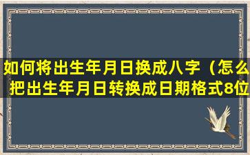 如何将出生年月日换成八字（怎么把出生年月日转换成日期格式8位数）