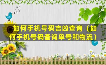 如何手机号码吉凶查询（如何手机号码查询单号和物流）