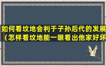 如何看坟地会利于子孙后代的发展（怎样看坟地能一眼看出他家好坏）