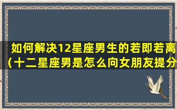 如何解决12星座男生的若即若离（十二星座男是怎么向女朋友提分手的）