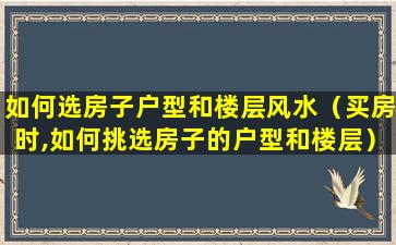 如何选房子户型和楼层风水（买房时,如何挑选房子的户型和楼层）