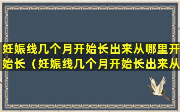 妊娠线几个月开始长出来从哪里开始长（妊娠线几个月开始长出来从哪里开始长的）