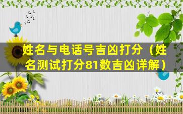 姓名与电话号吉凶打分（姓名测试打分81数吉凶详解）