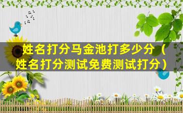 姓名打分马金池打多少分（姓名打分测试免费测试打分）