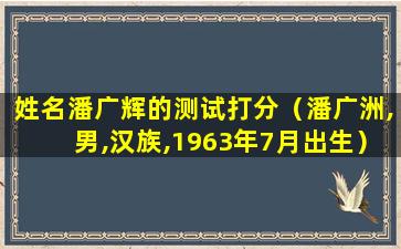 姓名潘广辉的测试打分（潘广洲,男,汉族,1963年7月出生）