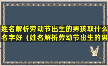 姓名解析劳动节出生的男孩取什么名字好（姓名解析劳动节出生的男孩取什么名字好听）