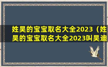 姓吴的宝宝取名大全2023（姓吴的宝宝取名大全2023叫吴迪有兄弟姐妹起什么名）