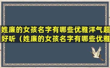 姓廉的女孩名字有哪些优雅洋气超好听（姓廉的女孩名字有哪些优雅洋气超好听两个字）