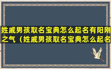 姓戚男孩取名宝典怎么起名有阳刚之气（姓戚男孩取名宝典怎么起名有阳刚之气的名字）