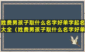 姓费男孩子取什么名字好单字起名大全（姓费男孩子取什么名字好单字起名大全两个字）