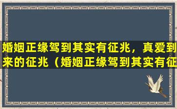 婚姻正缘驾到其实有征兆，真爱到来的征兆（婚姻正缘驾到其实有征兆,真爱到来的征兆）