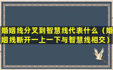 婚姻线分叉到智慧线代表什么（婚姻线断开一上一下与智慧线相交）