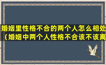 婚姻里性格不合的两个人怎么相处（婚姻中两个人性格不合该不该离婚）