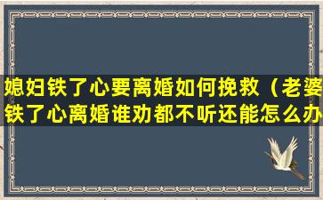 媳妇铁了心要离婚如何挽救（老婆铁了心离婚谁劝都不听还能怎么办）