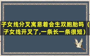 子女线分叉寓意着会生双胞胎吗（子女线开叉了,一条长一条很短）