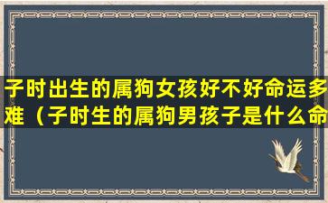 子时出生的属狗女孩好不好命运多难（子时生的属狗男孩子是什么命）