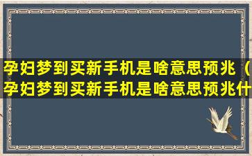 孕妇梦到买新手机是啥意思预兆（孕妇梦到买新手机是啥意思预兆什么）