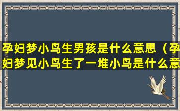 孕妇梦小鸟生男孩是什么意思（孕妇梦见小鸟生了一堆小鸟是什么意思）