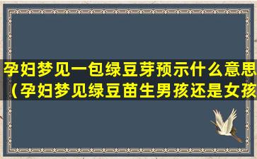 孕妇梦见一包绿豆芽预示什么意思（孕妇梦见绿豆苗生男孩还是女孩）