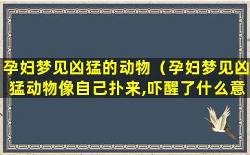 孕妇梦见凶猛的动物（孕妇梦见凶猛动物像自己扑来,吓醒了什么意思）