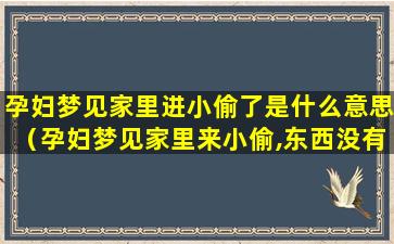 孕妇梦见家里进小偷了是什么意思（孕妇梦见家里来小偷,东西没有被偷走）