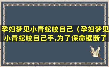 孕妇梦见小青蛇咬自己（孕妇梦见小青蛇咬自己手,为了保命锯断了小手指）