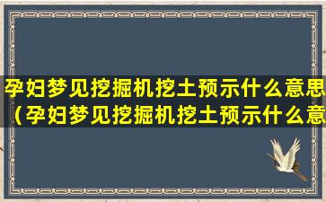 孕妇梦见挖掘机挖土预示什么意思（孕妇梦见挖掘机挖土预示什么意思周公解梦）