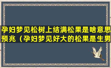 孕妇梦见松树上结满松果是啥意思预兆（孕妇梦见好大的松果是生男）