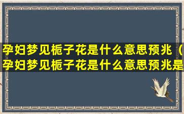 孕妇梦见栀子花是什么意思预兆（孕妇梦见栀子花是什么意思预兆是男是女）