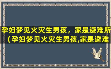 孕妇梦见火灾生男孩，家是避难所（孕妇梦见火灾生男孩,家是避难所）