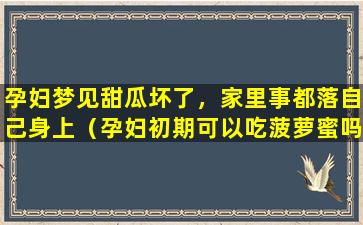 孕妇梦见甜瓜坏了，家里事都落自己身上（孕妇初期可以吃菠萝蜜吗）