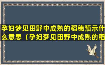 孕妇梦见田野中成熟的稻穗预示什么意思（孕妇梦见田野中成熟的稻穗预示什么意思呢）