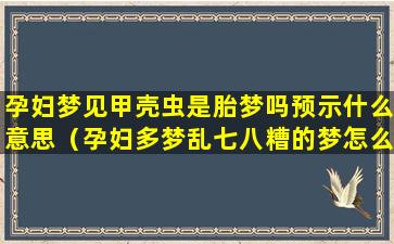 孕妇梦见甲壳虫是胎梦吗预示什么意思（孕妇多梦乱七八糟的梦怎么办呢）