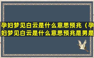 孕妇梦见白云是什么意思预兆（孕妇梦见白云是什么意思预兆是男是女）