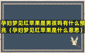 孕妇梦见红苹果是男孩吗有什么预兆（孕妇梦见红苹果是什么意思）