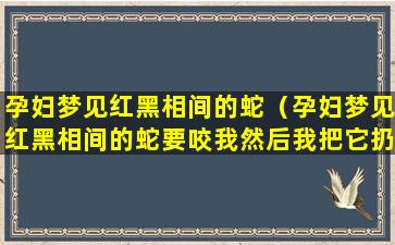 孕妇梦见红黑相间的蛇（孕妇梦见红黑相间的蛇要咬我然后我把它扔了）