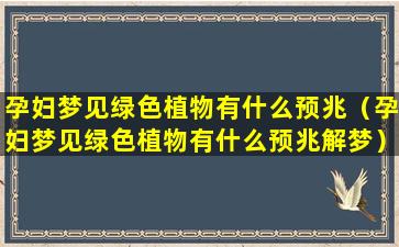 孕妇梦见绿色植物有什么预兆（孕妇梦见绿色植物有什么预兆解梦）