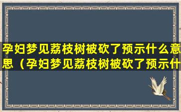 孕妇梦见荔枝树被砍了预示什么意思（孕妇梦见荔枝树被砍了预示什么意思呢）