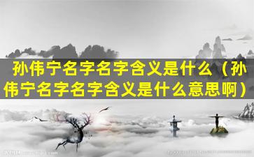 孙伟宁名字名字含义是什么（孙伟宁名字名字含义是什么意思啊）