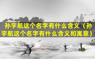 孙宇航这个名字有什么含义（孙宇航这个名字有什么含义和寓意）