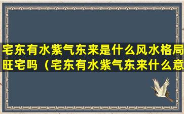 宅东有水紫气东来是什么风水格局旺宅吗（宅东有水紫气东来什么意思）