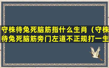 守株待兔死脑筋指什么生肖（守株待兔死脑筋旁门左道不正规打一生肖）