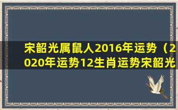 宋韶光属鼠人2016年运势（2020年运势12生肖运势宋韶光属鼠）