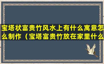 宝塔状富贵竹风水上有什么寓意怎么制作（宝塔富贵竹放在家里什么位置好）