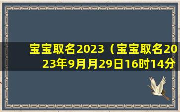 宝宝取名2023（宝宝取名2023年9月月29日16时14分）