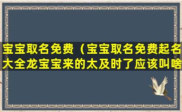 宝宝取名免费（宝宝取名免费起名大全龙宝宝来的太及时了应该叫啥名字）