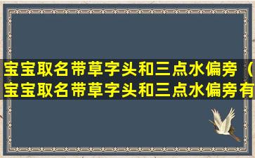 宝宝取名带草字头和三点水偏旁（宝宝取名带草字头和三点水偏旁有关系吗）