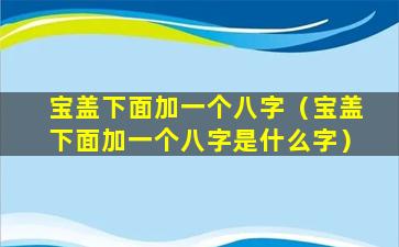 宝盖下面加一个八字（宝盖下面加一个八字是什么字）